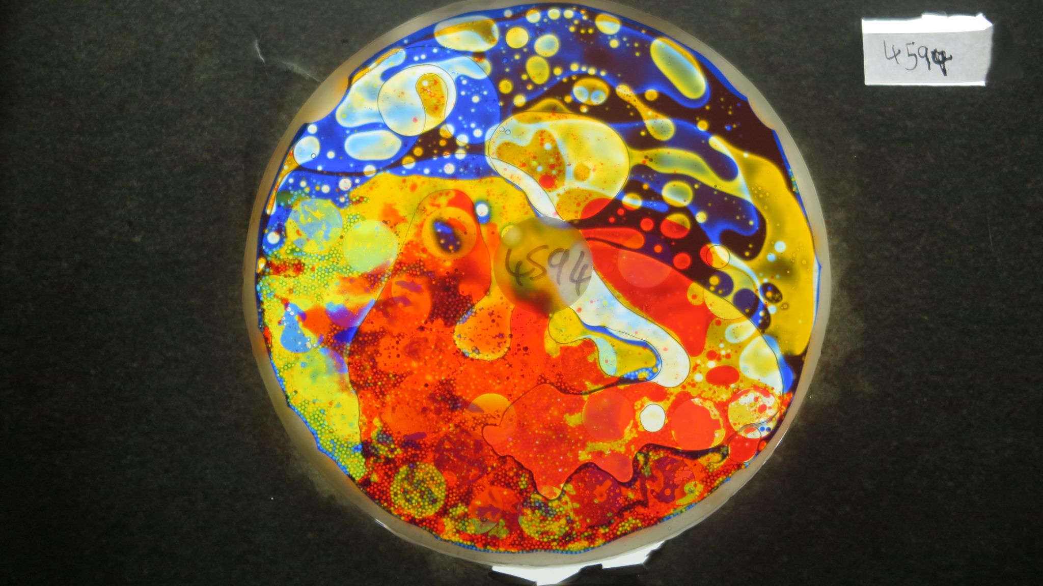 BV4594 bubble vision oil wheel